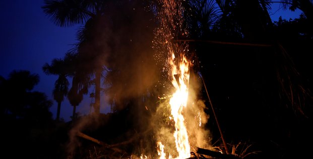 Amazonie: bolsonaro envisage d'envoyer l'armee contre les incendies