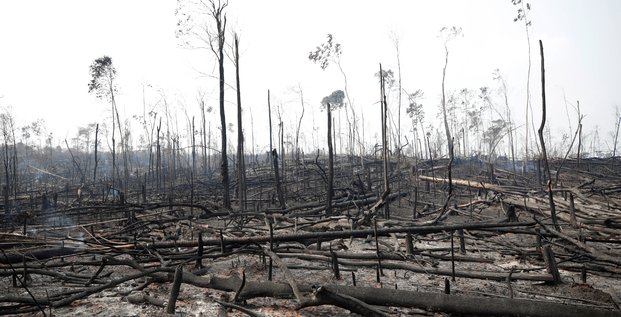 Amazonie: bolsonaro envoie l'armee pour lutter contre les incendies