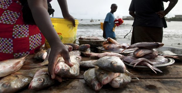 sénégal dakar poisson alimentation pêche halieutique littoral