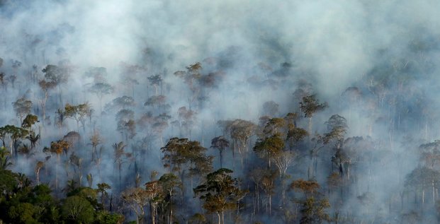La deforestation de l'amazonie a son plus haut niveau depuis 11 ans