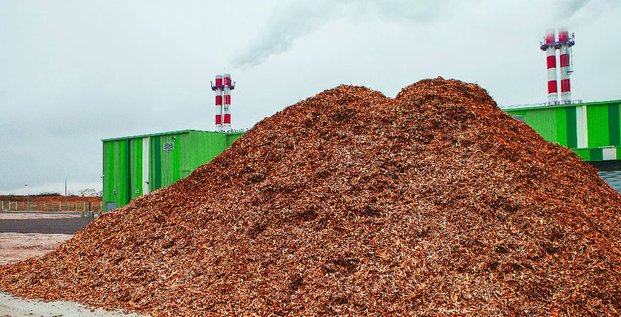 EDF EnR biomasse énergie
