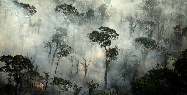 Bresil: les feux de foret en amazonie en hausse de 30% en 2019