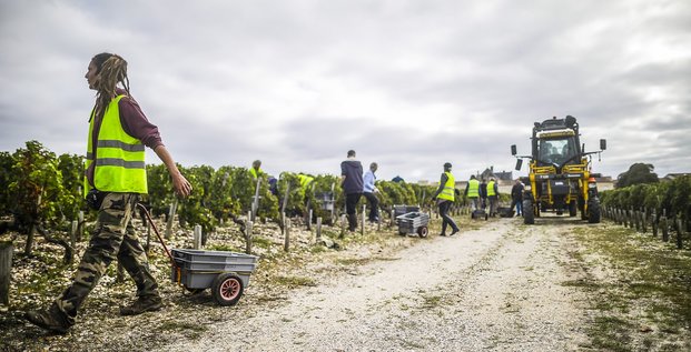 Dossier Vin Bordeaux Covid-19