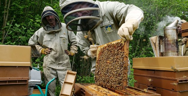 Le printemps ensoleille a favorise la recolte de miel