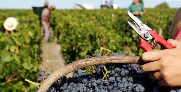 Apres une annee 2018 hors norme, la production mondiale de vin a baisse en 2019