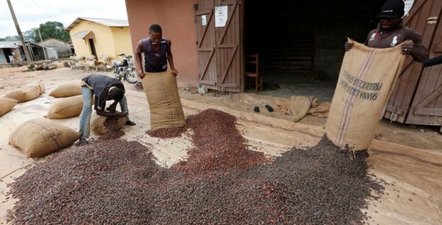 Ghana cacao
