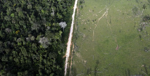 La deforestation en amazonie a augmente en 2020, selon une recente analyse