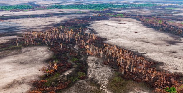 Amazonie, déforestation, Mato Grosso, Brésil, Jair Bolsonaro