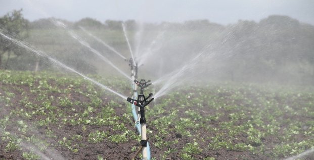 Eau irrigation