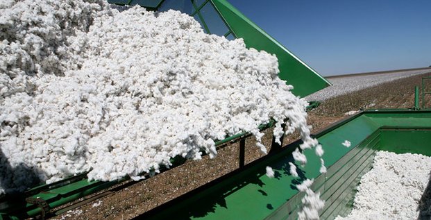 coton industrie