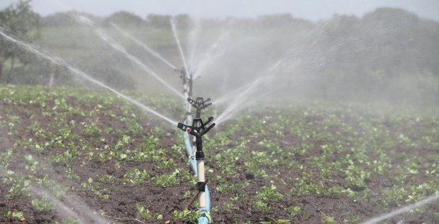 Eau irrigation