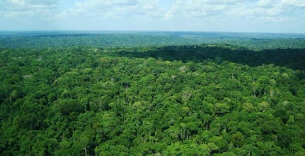 Forêt Amazone