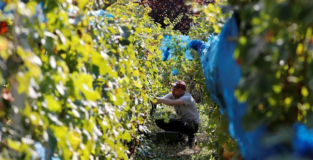 La production mondiale de vin attendue a un plus bas historique