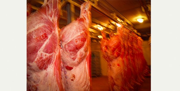L'abattoir de Quillan, dans l'Aude, tient sur une microfilière viande encore fragile.