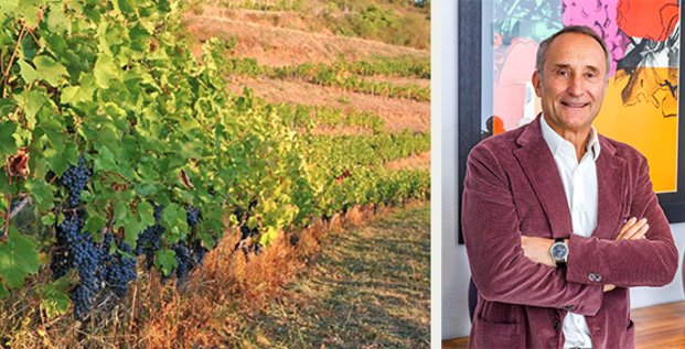 Michel Veyrier, patron fondateur de Vinea Transaction, spécialisée dans la transaction d'exploitations viticoles