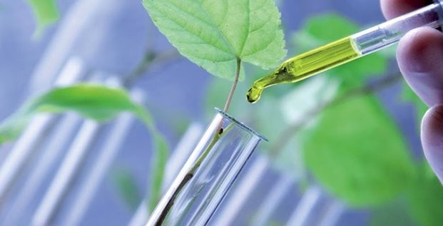 Le Nîmois Phytocontrol rachète All Phyto, spécialisé dans le contrôle qualité des plantes médicinales, épices, aromates et ingrédients d'origine naturelle.