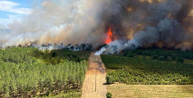Incendie de Landiras. Reprise en août 2022