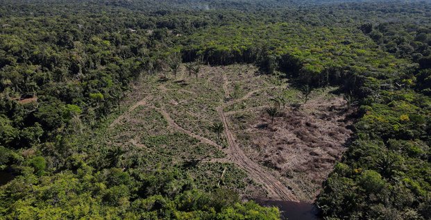Vue aerienne montre la deforestation dans la foret amazonienne a manaus, au bresil