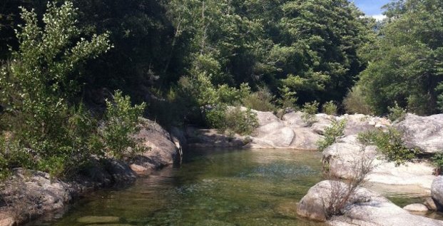 Sur le bassin Rhône-Méditerranée en Occitanie, 45% des rivières sont en bon état écologique, selon le rapport 2022 de l'agence de l'eau.