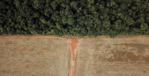 Vue aerienne la deforestation a la frontiere entre l'amazonie et le cerrado