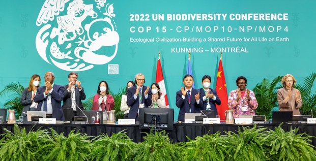 COP 15 biodiversité