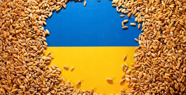 Le drapeau ukrainien couvert de grains