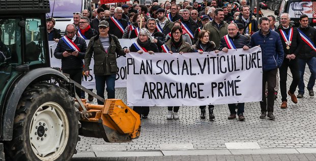 Manifestation vignerons Bordeaux 6 décembre 2022