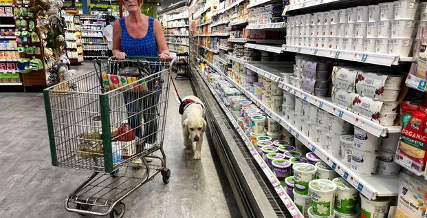 Une femme fait ses courses dans un supermarche a hadley, aux etats-unis
