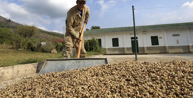 Café Colombie