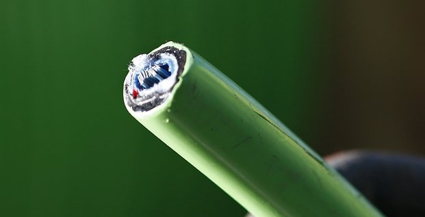 Cable dénudé de fibre optique / Internet, câble, optic fiber