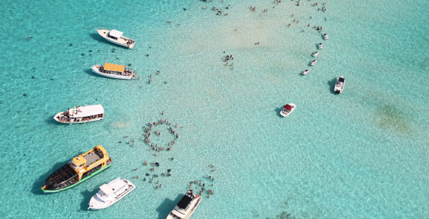 Stingray City (Îles Caïmans)