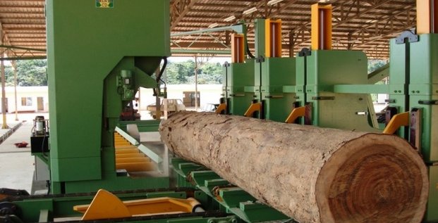 Filière Bois Gabon Industrie Fôret