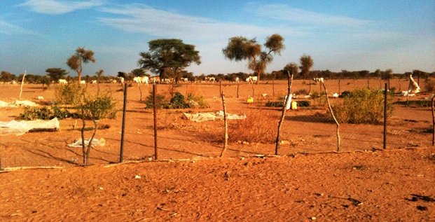 Mauritanie agriculture
