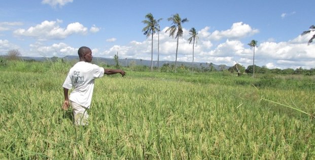 tanzanie fermier agriculture foncier