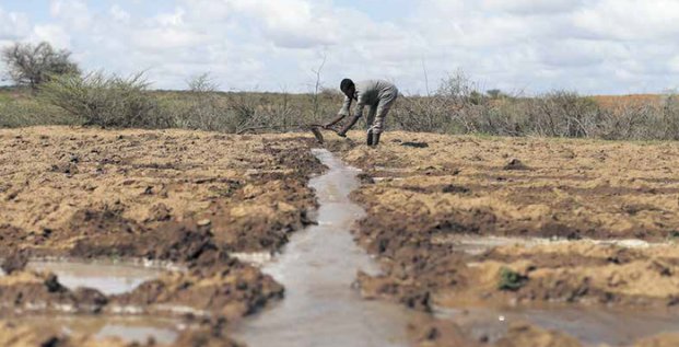 Agriculture terres irrigation labour