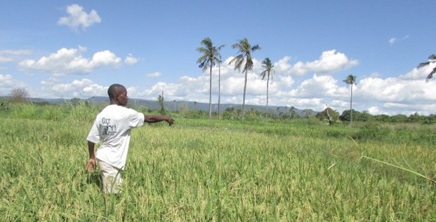 tanzanie fermier agriculture foncier