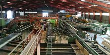 La filière bois Occitanie veut miser sur la modernisation du segment transformation