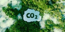 La plateforme Sweep, qui permet aux entreprises émettrices de carbone de piloter leur stratégie carbone, propose une méthode pour rendre plus vertueux l'achat de crédits carbone.