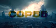 COP55
