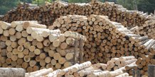 « En Europe, la conjoncture de la filière bois  est meilleure qu’attendue » (Jean-François Guilbert, directeur de FrenchTimber)