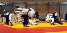 Les judokas français se sont notamment entrainés à Vichy pour leur préparation aux Jeux Olympiques.