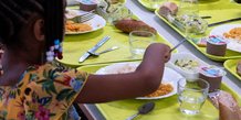 School canteen, catering, cantine scolaire, marché publics, restauration collective, Toulouse,