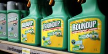 La france pour un renouvellement du glyphosate pour trois ans