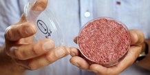 Le professeur Mark Post tient le premier steak haché de bœuf créé en laboratoire (viande in vitro) à Londres en août 2013