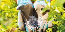Agriculture engrais agriculteurs